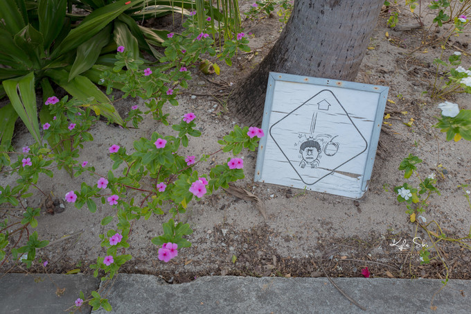 在海洋上与世隔绝的小岛,到大海里面就找一个小岛去生活