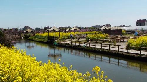 上海市民一日游最佳攻略,上海市民修身行动阅读