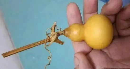 文玩葫芦怎么晒效果最好,文玩葫芦花了