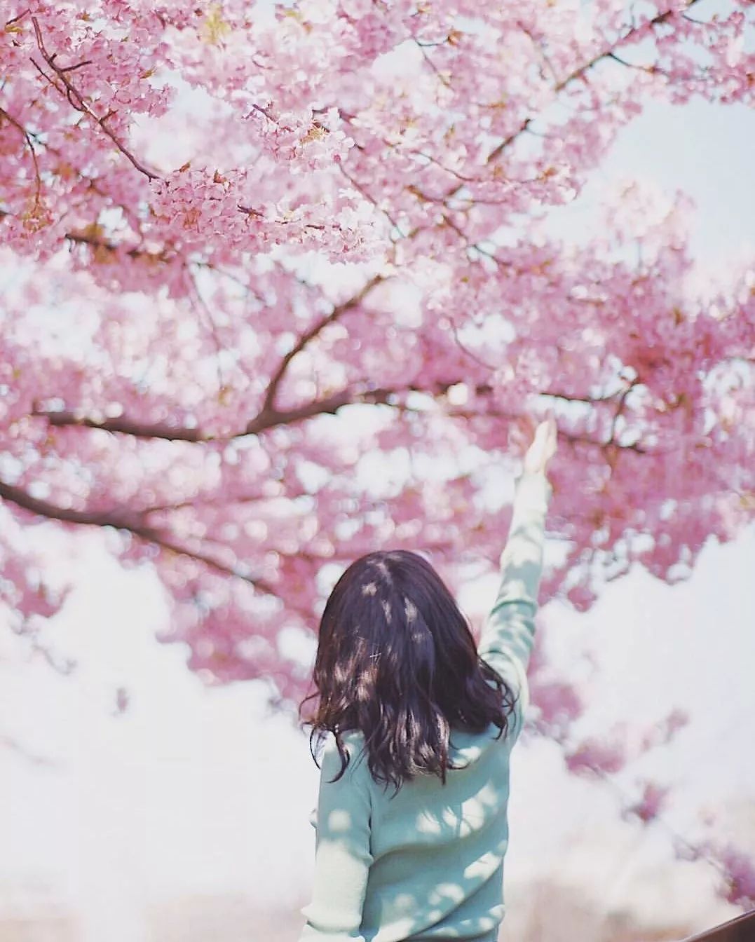 拍照尴尬怎么化解,拍照不自然不上镜的解决办法