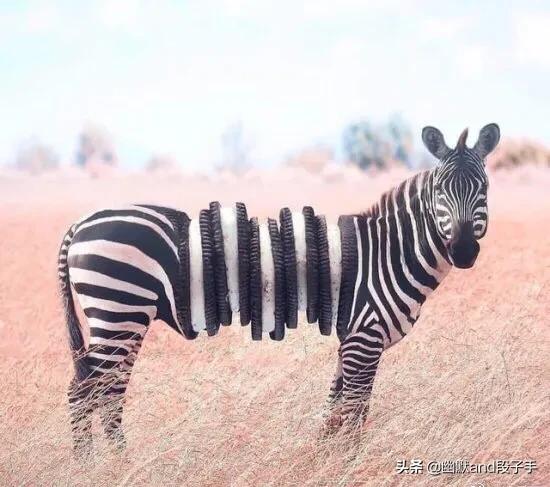 你好搞笑图文,搞笑挖掘机图文