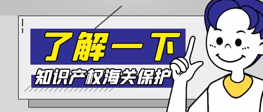 知识产权海关保护备案怎么查询,知识产权海关备案制度说明