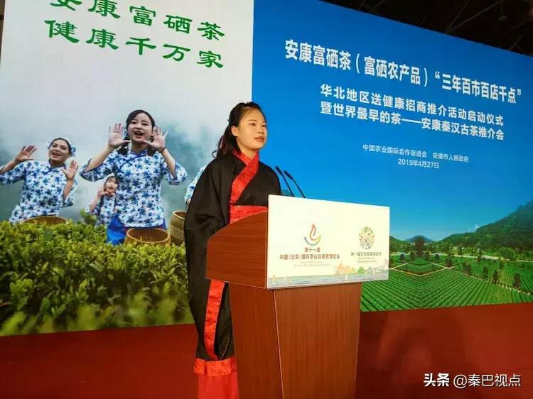 秦汉古茶价格,秦汉古茶图片