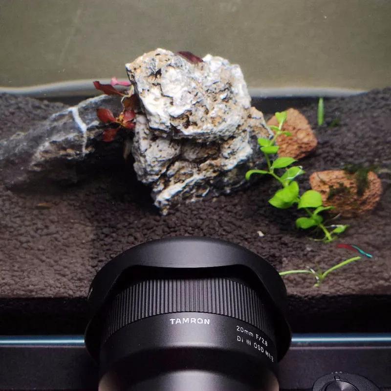 腾龙20-40f2.8拍摄效果,腾龙20f2.8拍视频优缺点