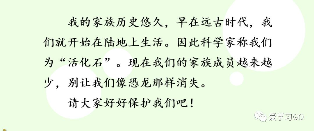 部编版三年级下册国宝大熊猫作文,三年级下作文国宝大熊猫写作指导