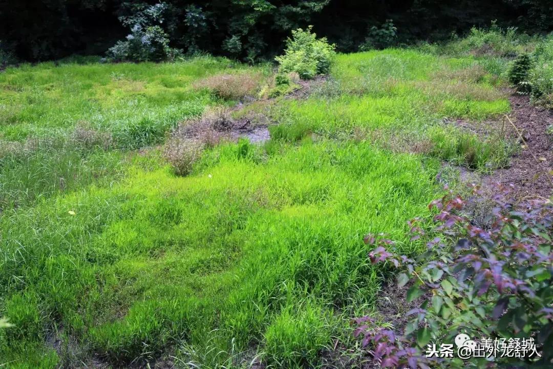 舒城县五显镇石关风景区,舒城石关风景游玩攻略
