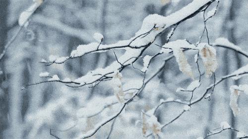 烂脸第几天最严重,烂脸修复第一步