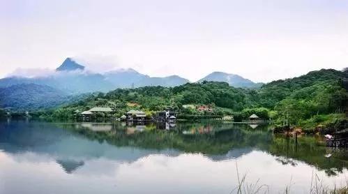 乐东县九所镇风景,候鸟的天堂在哪