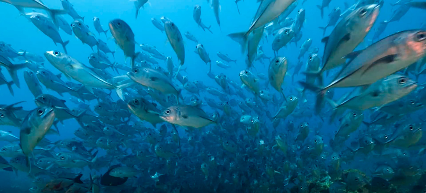 匆匆十年相聚,匆匆十年团购套餐