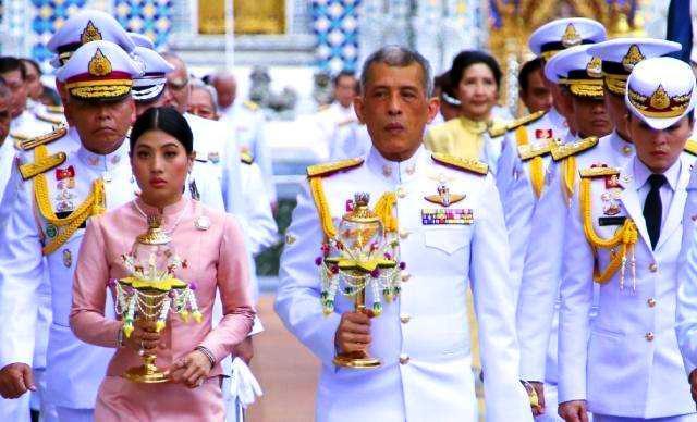 最简单的茉莉精油,重瓣茉莉精油