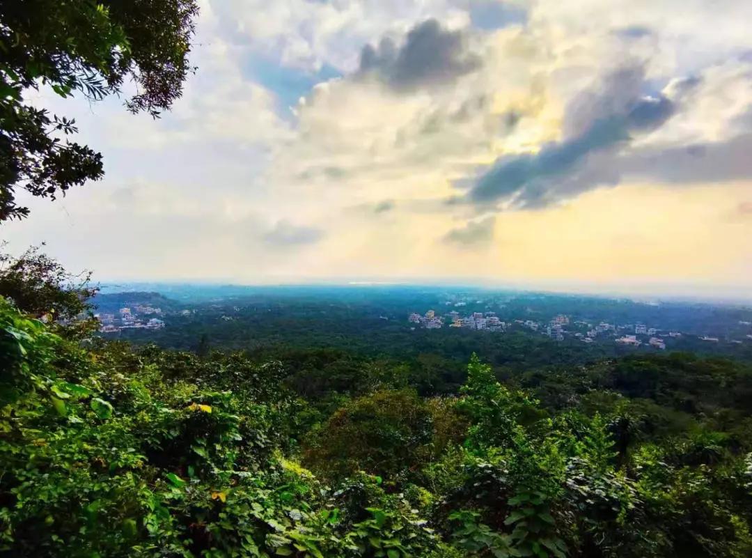 移动大沙发日产天籁,移动大沙发日产天籁2.0舒适版