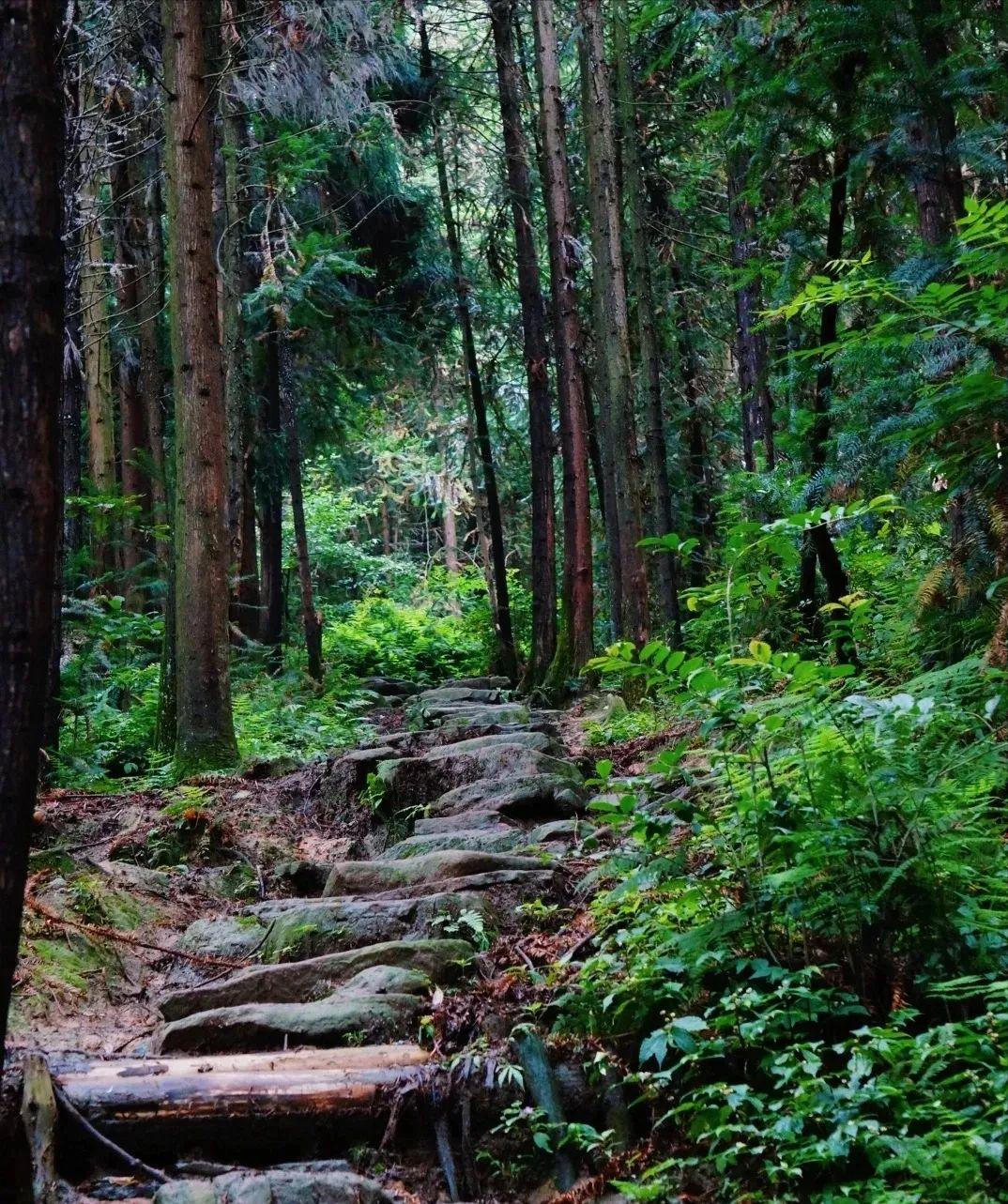 国庆成都周边旅游攻略推荐,成都周边旅游国庆2-3天推荐地方