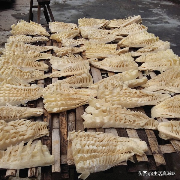 适合这个季节吃的笋,什么笋最适合春天吃