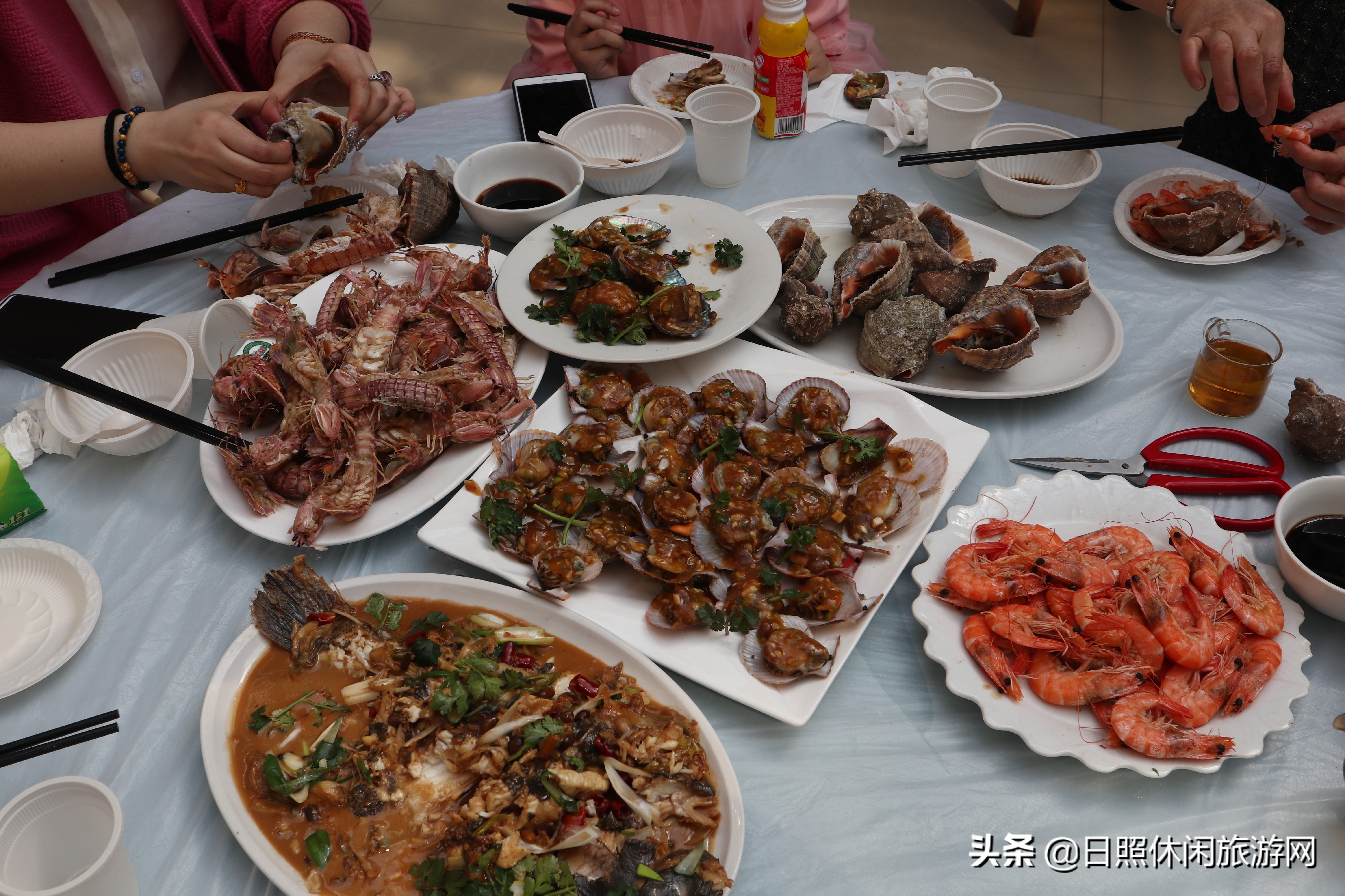 来日照旅游住渔家,去日照渔家住民宿