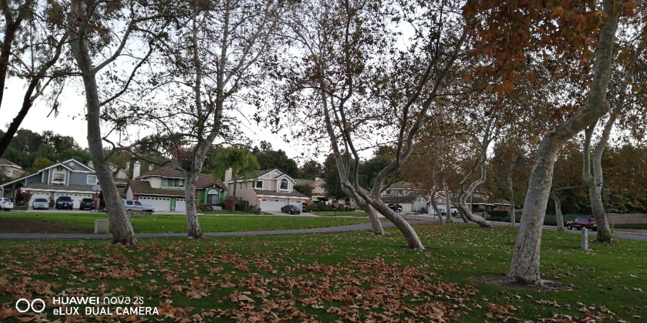 美国文化震撼之旅,美国文化生活的真实感受