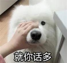 肯德基双层嫩牛堡和巨无霸,肯德基双层嫩牛堡和厚牛堡哪个好