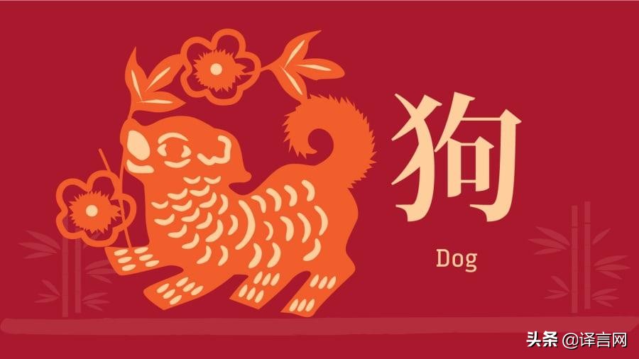 猪年的十二生肖的运势,1971猪年60岁好运运势