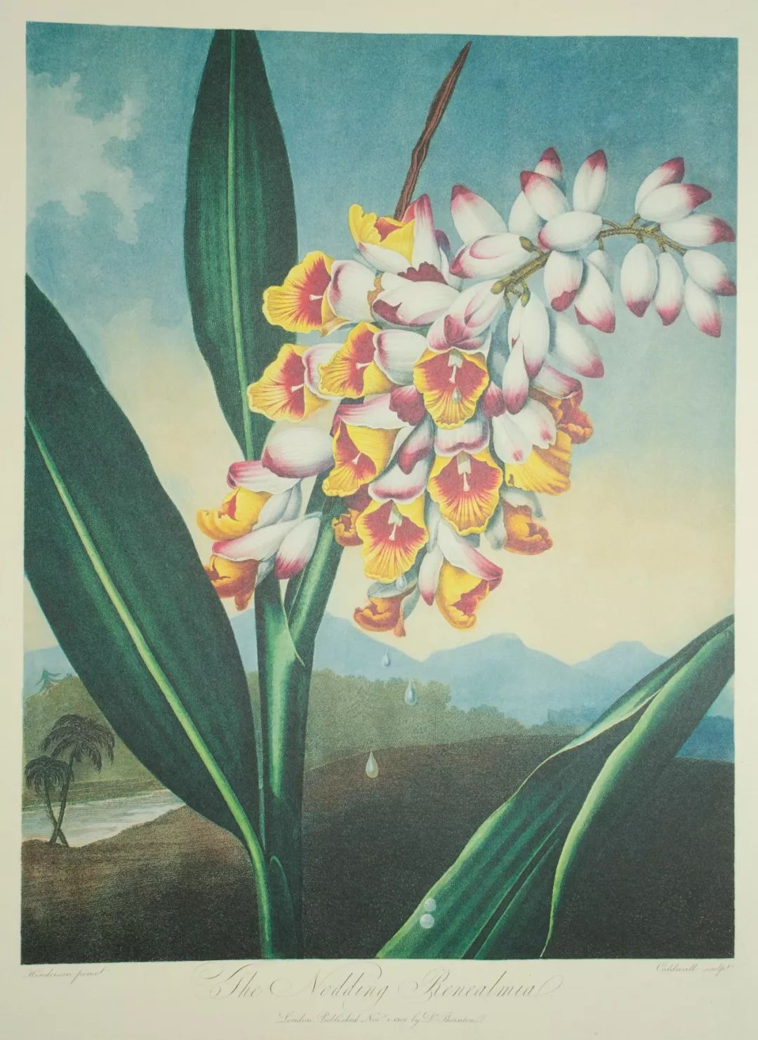 珠宝腕表诠释时光华美,腕表珠宝