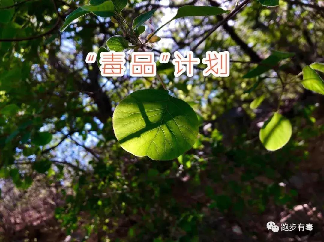 好穿的跑步装备推荐,好看又实用的跑步装备