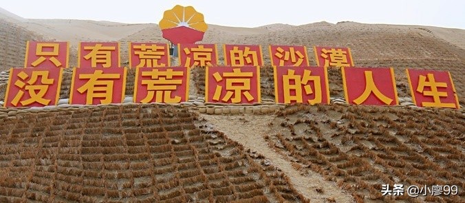 民丰尼雅遗址,新疆民丰尼雅文物