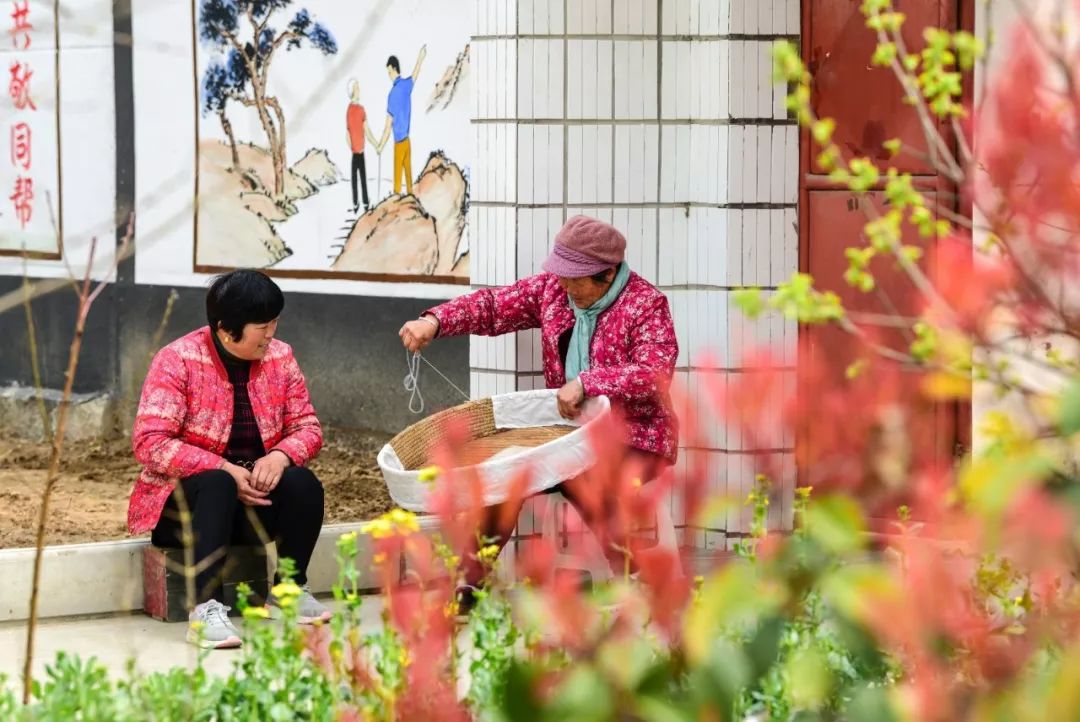 江苏省铜山县大许镇,江苏省徐州市铜山区大许镇