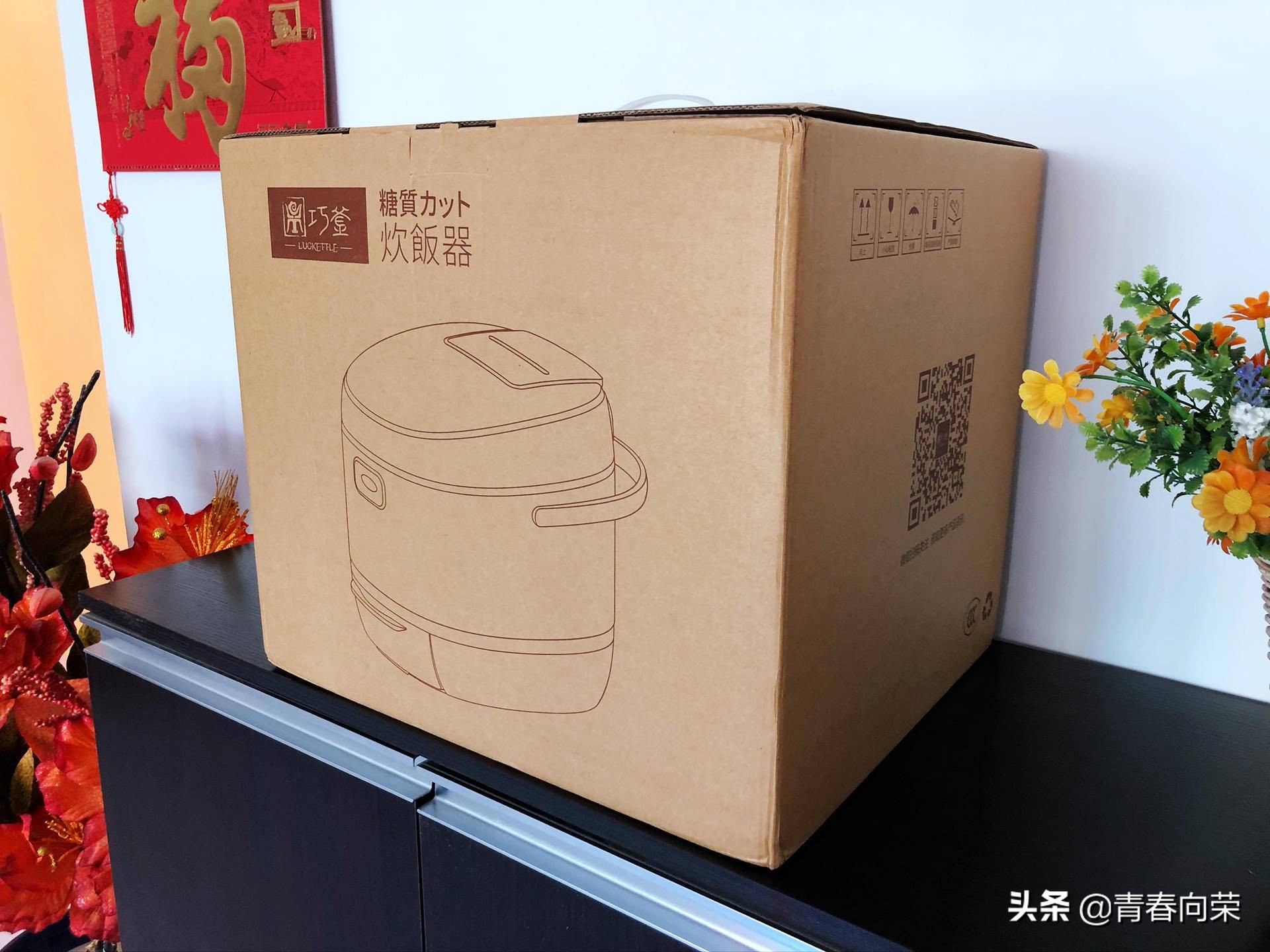 气釜降糖电饭煲使用方法,鼎釜电饭煲的优缺点