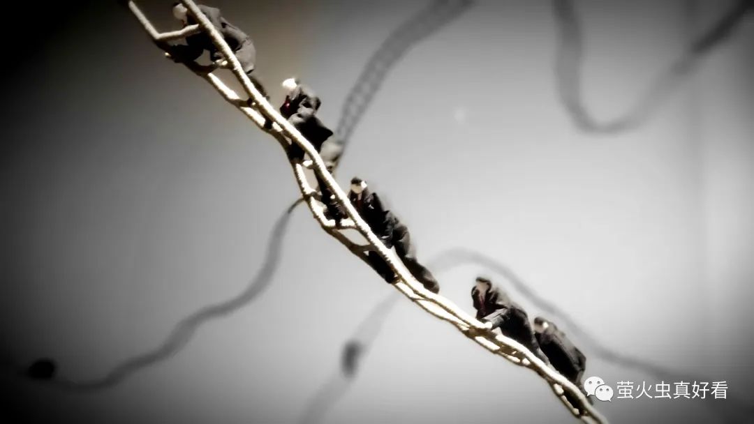 当微薄的力量相继绽放