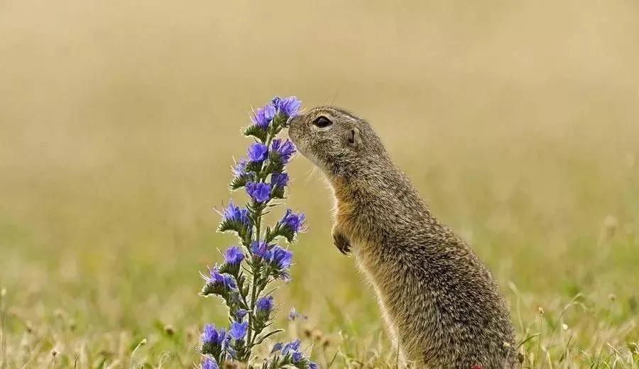 怎样缓解焦虑的情绪,缓解焦虑的音乐放松方法