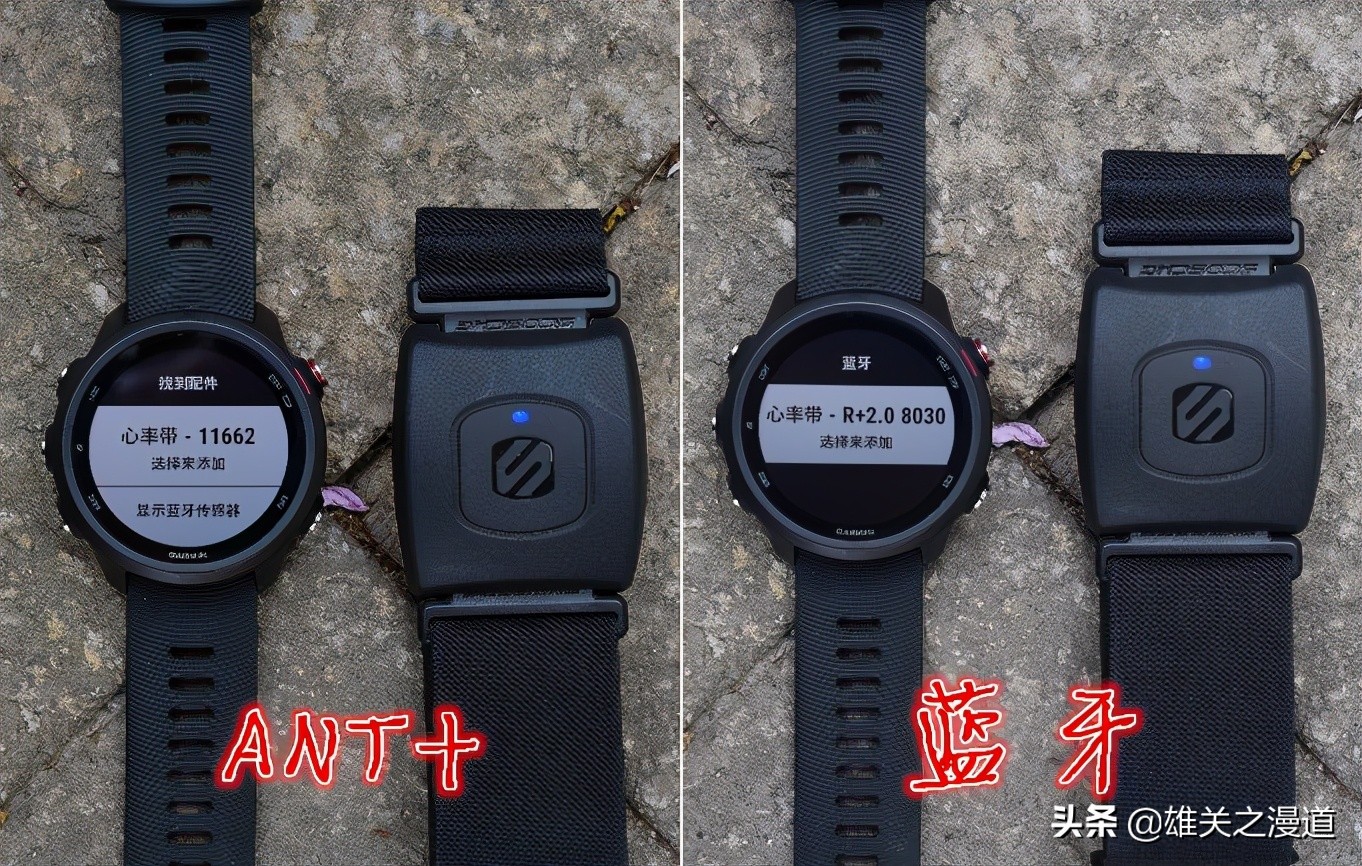 运动，你还在忽视心率吗？|ScoscheRhythm+2.0光电心率臂带