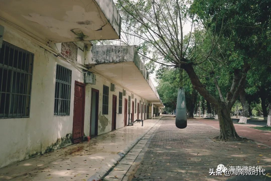 海南大学啥时候开学,海南大学研究生开学