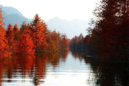 安徽小川藏线风景区,皖南小川藏属于哪个城市