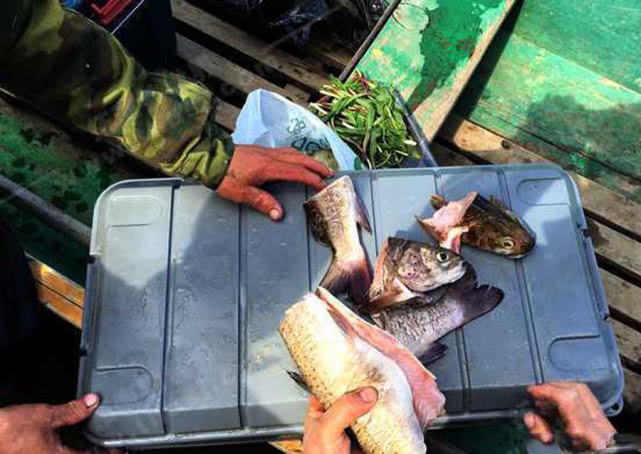 俄罗斯人是怎么钓鱼的,俄罗斯人钓鱼攻略