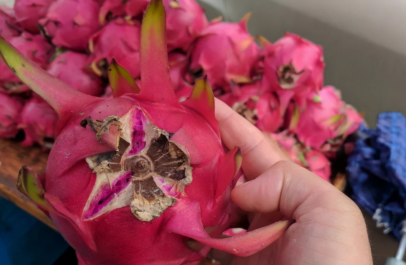 火龙果怎样买是最好的,红心火龙果怎么买新鲜又便宜