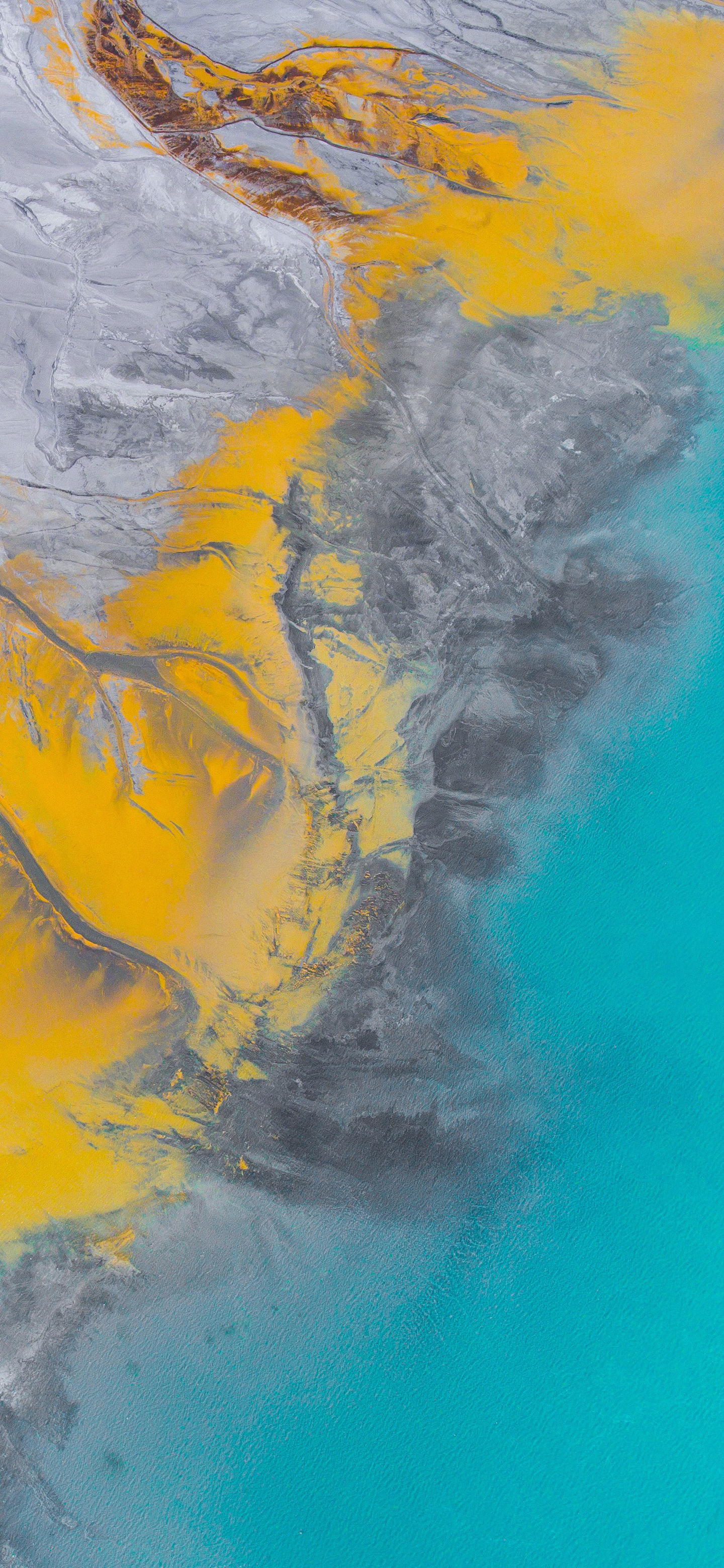 蓝天大海沙滩椰树图片高清壁纸,太阳蓝天大海海鸥的壁纸