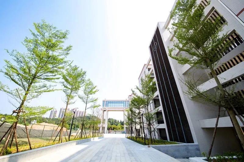 泉州市考上清华北大学子,2022泉州市考入清华北大多少人