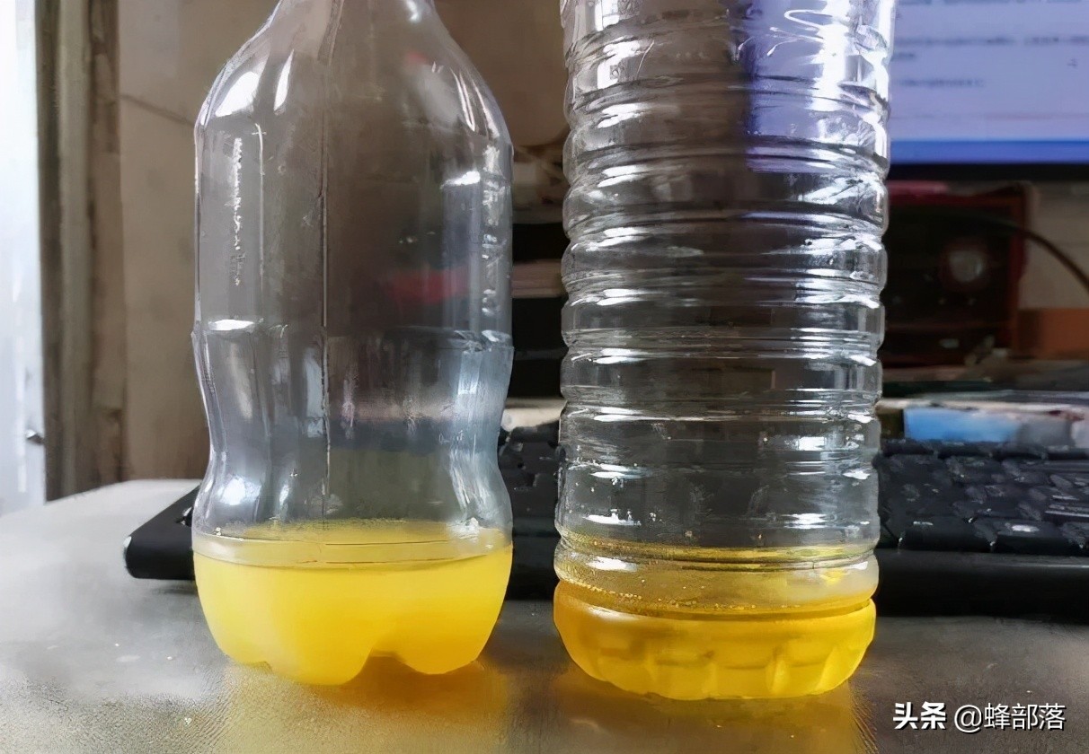 菜油怎么识别是好菜油,菜油好不好