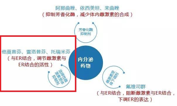 已经得了骨质疏松吃什么药能缓解,骨质疏松有什么药可治愈的吗