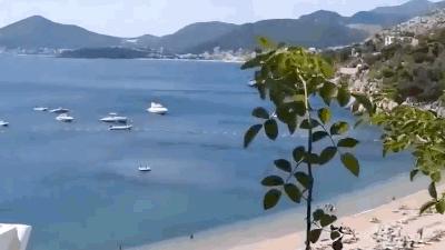 佳能1000倍变焦望远镜,真会玩在线观看