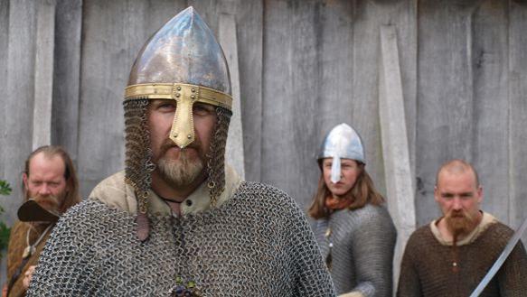 最早发现南极大陆的人,冰岛维京海盗