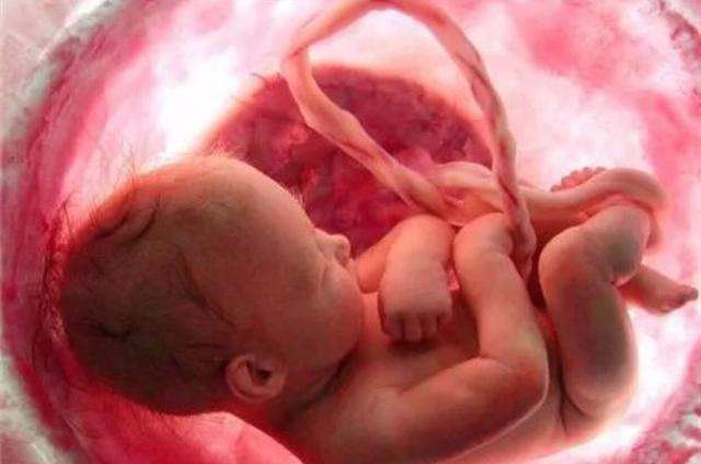 产前发现胎儿异常医师怎么处理,发现胎儿异常孕妇该怎么处理