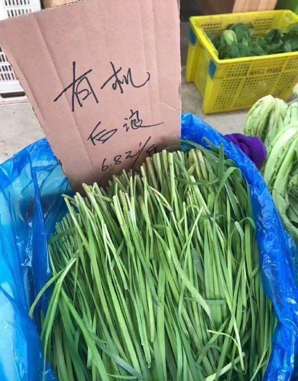 请回答系列还会有续集吗,请回答最后一集插曲