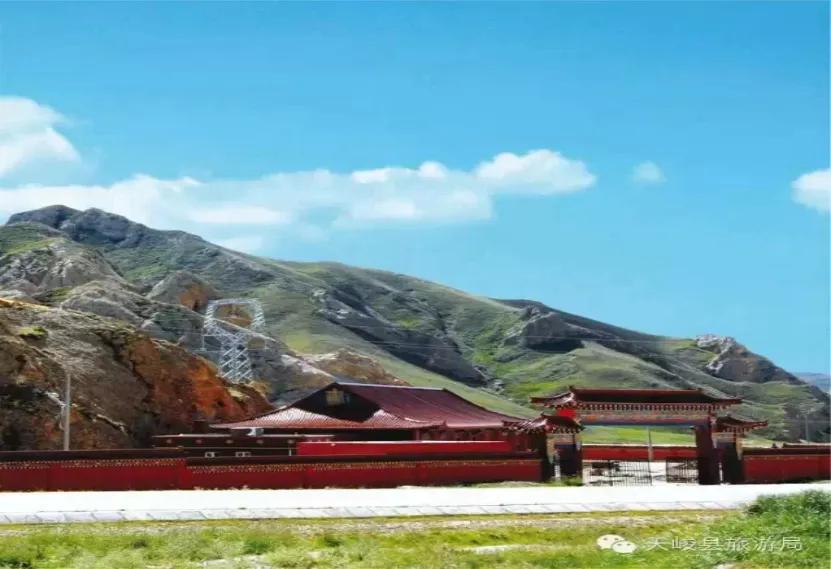 净土天峻高原牧场图片,净土天峻