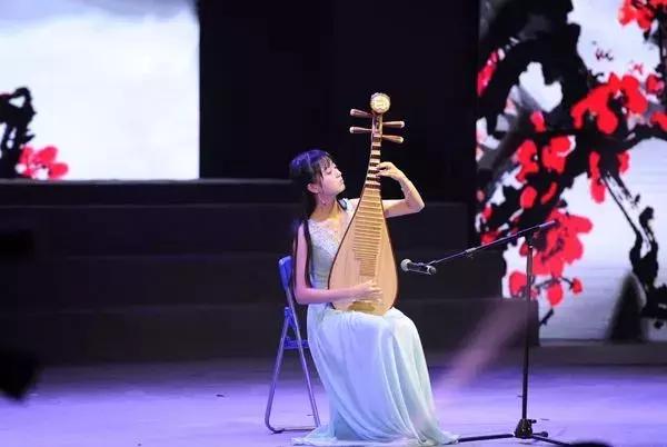 琵琶选购推荐,琵琶的选购常识