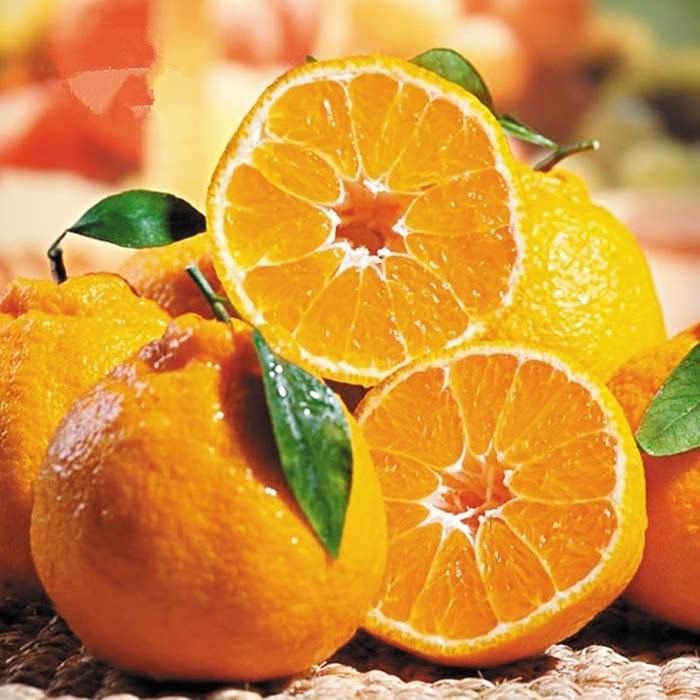 丑橘应该如何种？科学的管理让丑橘味美汁多吃不腻，快来学习