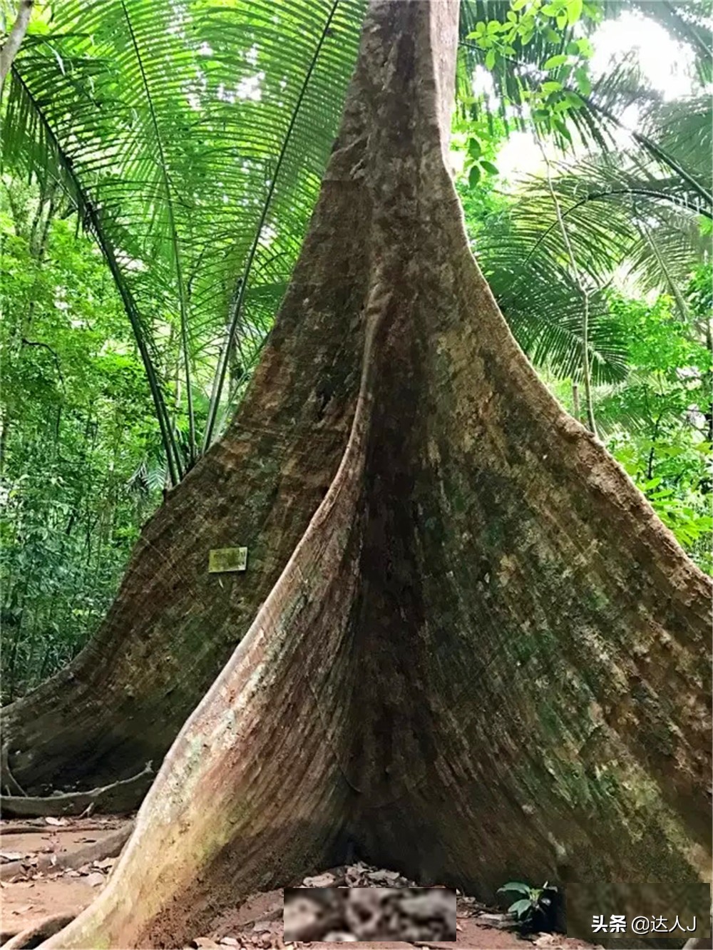 跟着小宇游日本,跟着小天玩游戏