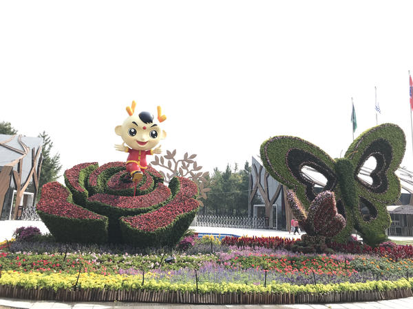 百花齐放迎盛世华夏崛起在今朝,花团锦簇万众瞩目