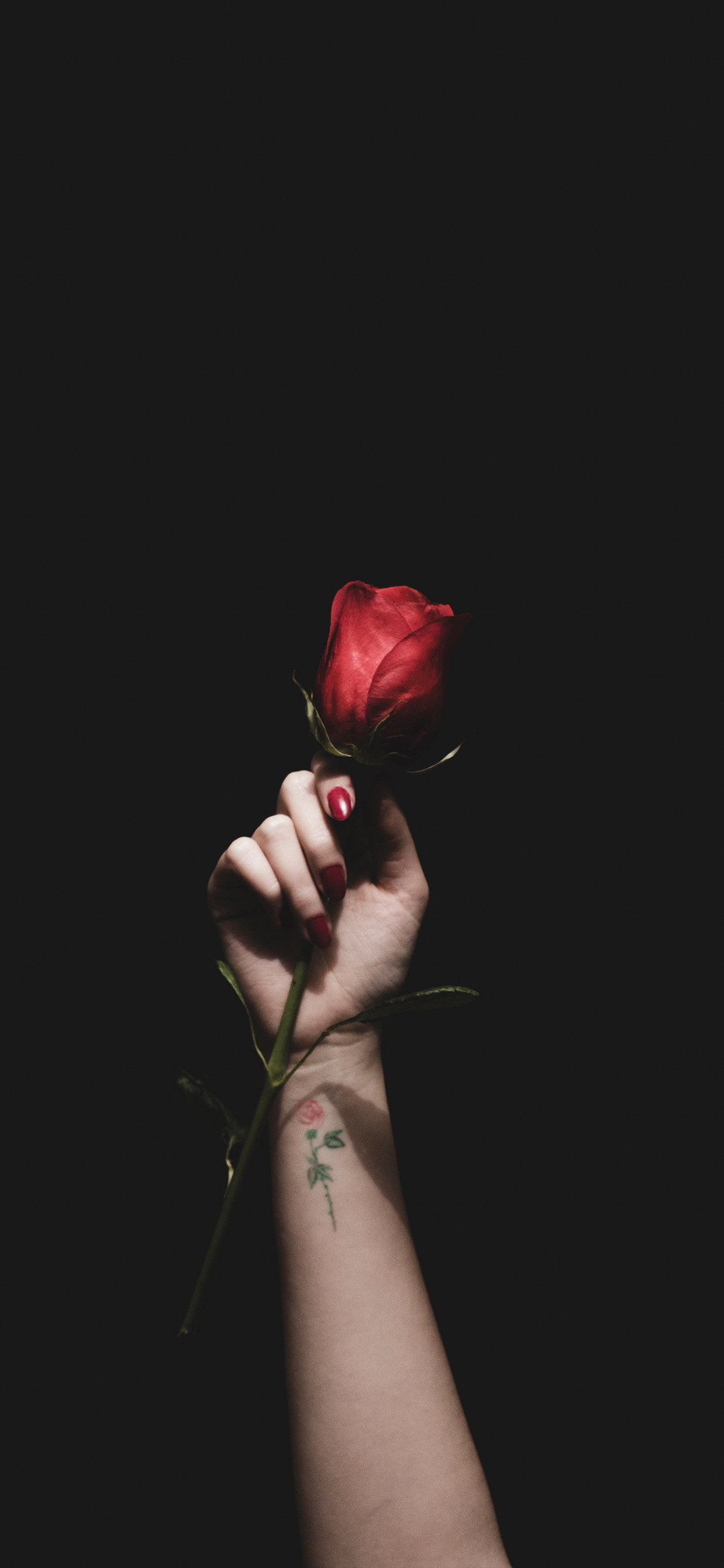 彩色的黑壁纸,最新黑色纯色壁纸