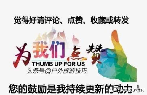 农村里常见的车前草有什么功效,这才是车前草正确用途