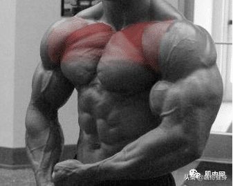 胸肌下沿不够宽,几个动作让胸变小