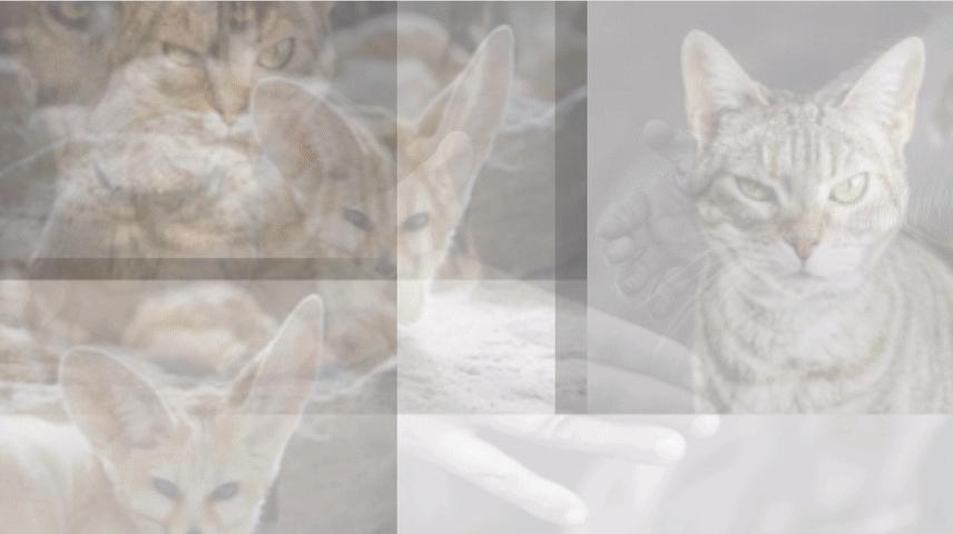 ppt排版设计技巧ppt制作培训教程,ppt优秀的图文排版案例